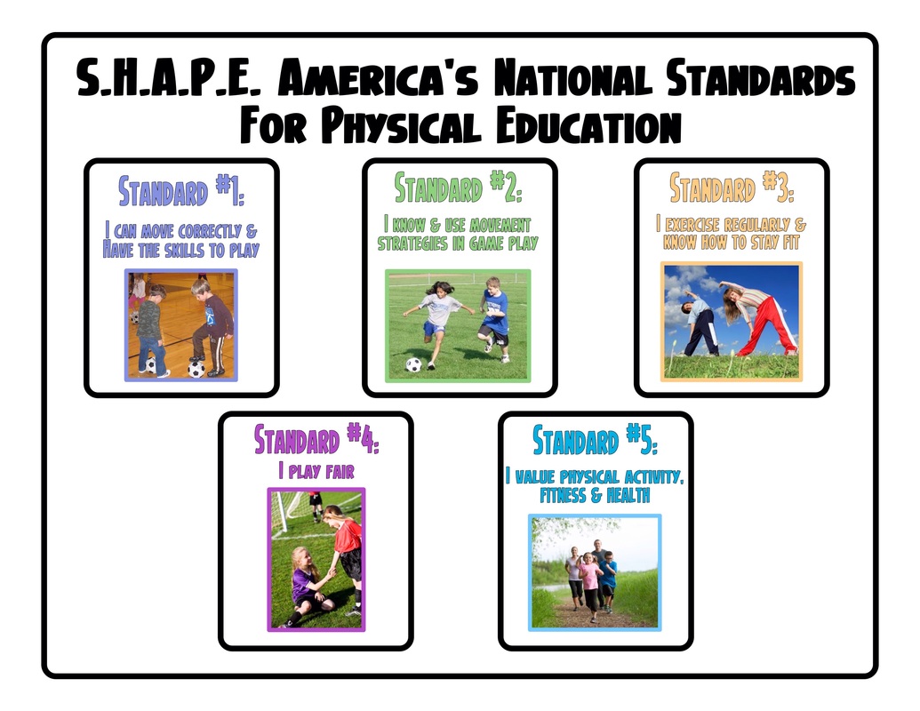 PE Poster: Principles of Exercise  Physical education lessons, Physical  education, Health and physical education